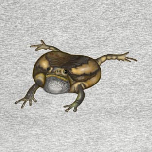 Banded Bullfrog Drawing T-Shirt